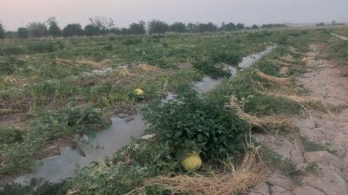 ҶАЙҲУН. СОКИНОНИ ДЕҲАИ РОЗИҚОБОД АЗ БЕОБӢ ШИКОЯТ ДОРАНД