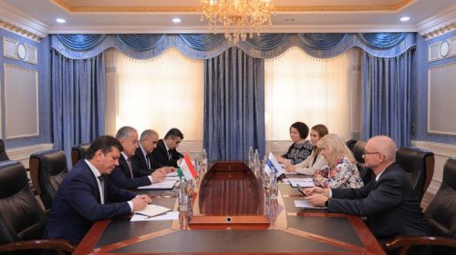 Мулоқоти вазири корҳои хориҷии Ҷумҳурии Тоҷикистон бо фиристодаи вежаи раёсати амалкунандаи САҲА