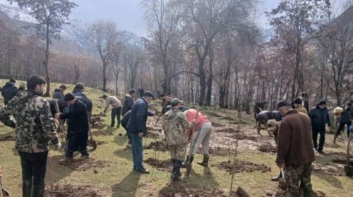 МАЪРАКАИ НИҲОЛШИНОНӢ ДАР ШАҲРИ ВАҲДАТ