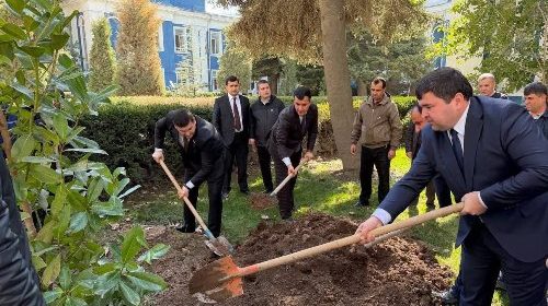 Маъракаи ниҳолшинонӣ бахшида ба истиқболи 35-солагии Истиқлоли давлатӣ дар ноҳияи Шоҳмансур