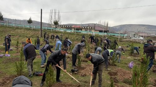 ВАҲДАТ: МАЪРАКАИ НИҲОЛШИНОНӢ БО ИШТИРОКИ МУОВИНИ САРВАЗИР