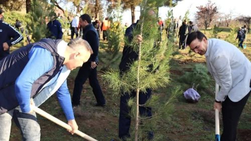 Маъракаи ниҳолшинонӣ дар ноҳияи Шоҳмансур баргузор гардид