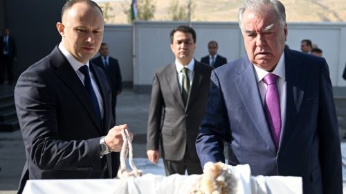 Пешвои миллат Эмомалӣ Раҳмон дар шаҳри Душанбе корхонаи дару тирезаҳои алюминӣ ва пластикии ҶДММ «Тамдид»-ро мавриди баҳрабардорӣ қарор доданд