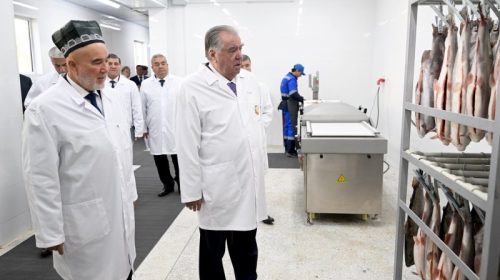 Президенти Ҷумҳурии Тоҷикистон Эмомалӣ Раҳмон дар шаҳри Ваҳдат коргоҳи коркарди моҳии ҶДММ «Баҳор»-ро ифтитоҳ намуданд